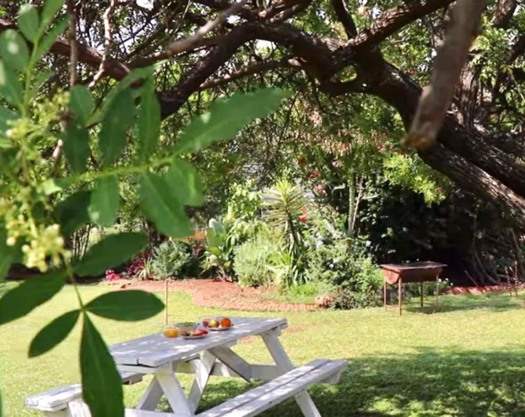 Choice Backpackers Lodge Bulawayo Ngoại thất bức ảnh